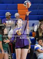 Photo from the gallery "Mesa vs. Millennium (Westwood Tournament of Champions)"