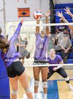 Photo from the gallery "Mesa vs. Millennium (Westwood Tournament of Champions)"