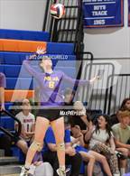 Photo from the gallery "Mesa vs. Millennium (Westwood Tournament of Champions)"