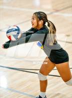 Photo from the gallery "Kennedy @ Laguna Creek"