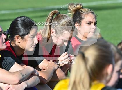 Thumbnail 3 in Pomona @ Arvada West photogallery.