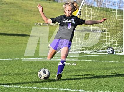 Thumbnail 3 in Pomona @ Arvada West photogallery.