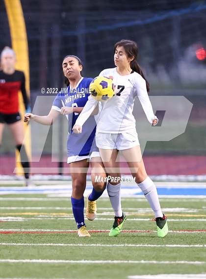 Thumbnail 3 in California @ Pioneer (CIF NorCal D IV Regional Semifinal) photogallery.