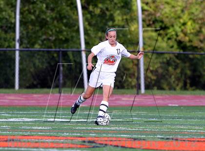Thumbnail 3 in Ludlowe @ Ridgefield photogallery.