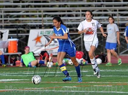 Thumbnail 2 in Ludlowe @ Ridgefield photogallery.