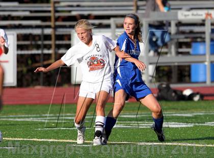Thumbnail 1 in Ludlowe @ Ridgefield photogallery.