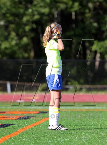 Thumbnail 1 in Ludlowe @ Ridgefield photogallery.