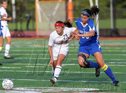 Thumbnail 3 in Ludlowe @ Ridgefield photogallery.