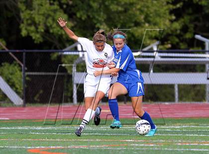 Thumbnail 2 in Ludlowe @ Ridgefield photogallery.