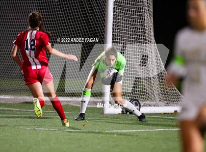 Thumbnail 1 in Wall Township vs Seneca (NJSIAA Group 2 Semifinals) photogallery.