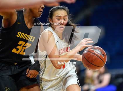 Thumbnail 3 in Liberty vs. Amarillo (UIL 5A Final) photogallery.