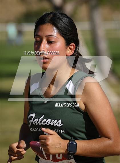 Thumbnail 3 in Golden League Finals photogallery.