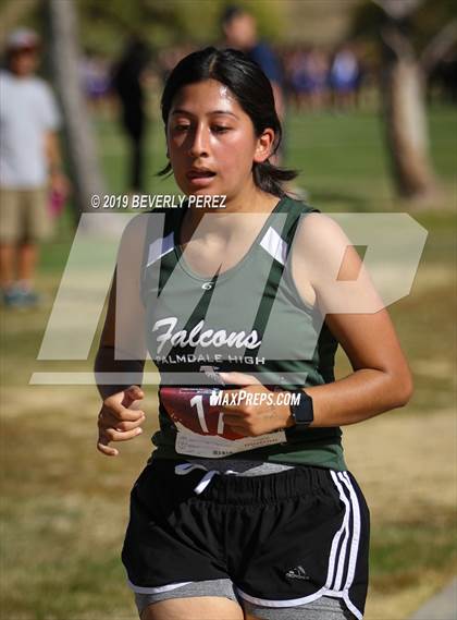 Thumbnail 2 in Golden League Finals photogallery.