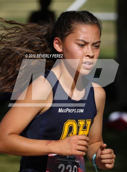 Thumbnail 2 in Golden League Finals photogallery.