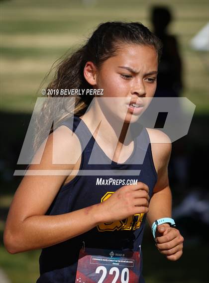 Thumbnail 1 in Golden League Finals photogallery.