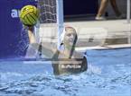 Photo from the gallery "Warren @ O'Connor"