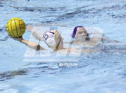 Thumbnail 3 in Warren @ O'Connor photogallery.