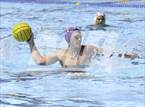 Photo from the gallery "Warren @ O'Connor"