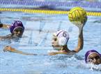 Photo from the gallery "Warren @ O'Connor"