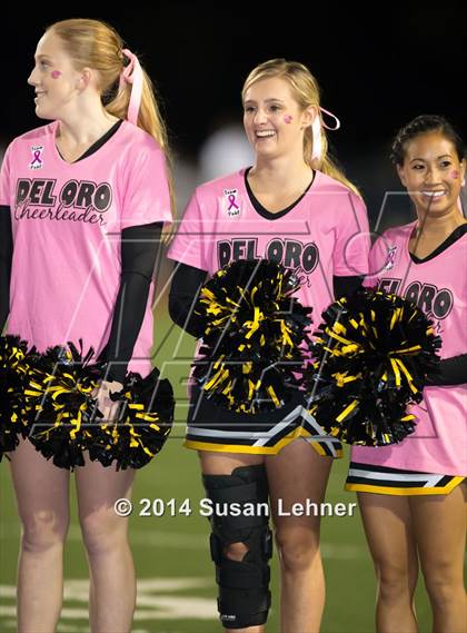 Thumbnail 3 in Oak Ridge @ Del Oro photogallery.