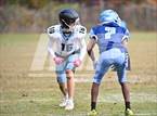 Photo from the gallery "Whitman @ Springbrook"