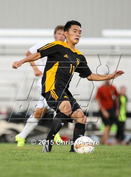 Thumbnail 2 in Greece Athena @ Churchville-Chili photogallery.