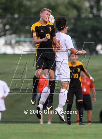 Thumbnail 3 in Greece Athena @ Churchville-Chili photogallery.
