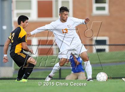 Thumbnail 3 in Greece Athena @ Churchville-Chili photogallery.