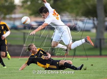 Thumbnail 3 in Greece Athena @ Churchville-Chili photogallery.