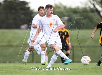 Thumbnail 1 in Greece Athena @ Churchville-Chili photogallery.