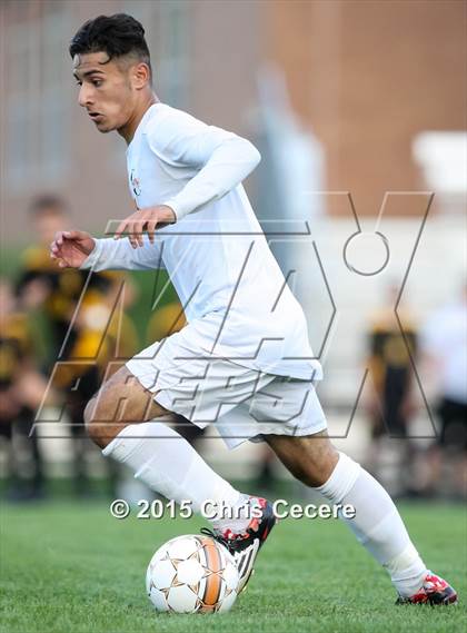 Thumbnail 2 in Greece Athena @ Churchville-Chili photogallery.