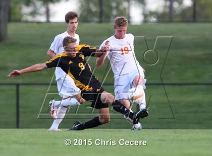 Thumbnail 1 in Greece Athena @ Churchville-Chili photogallery.