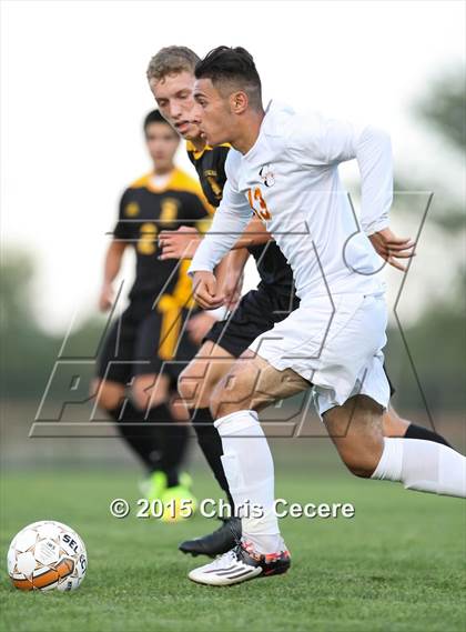 Thumbnail 2 in Greece Athena @ Churchville-Chili photogallery.
