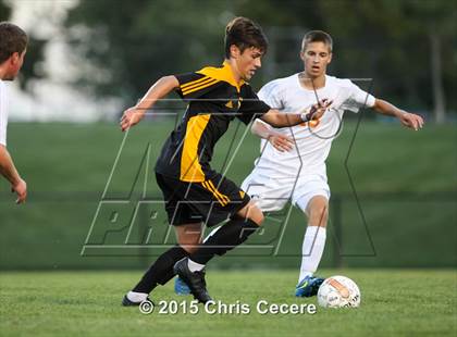Thumbnail 1 in Greece Athena @ Churchville-Chili photogallery.