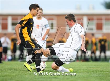 Thumbnail 2 in Greece Athena @ Churchville-Chili photogallery.