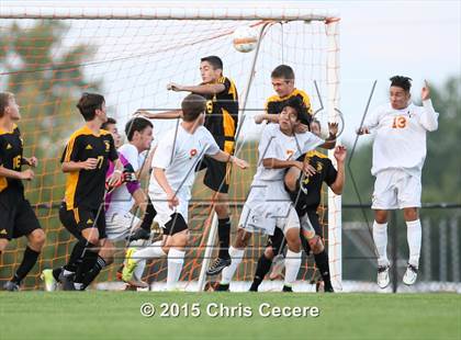 Thumbnail 3 in Greece Athena @ Churchville-Chili photogallery.