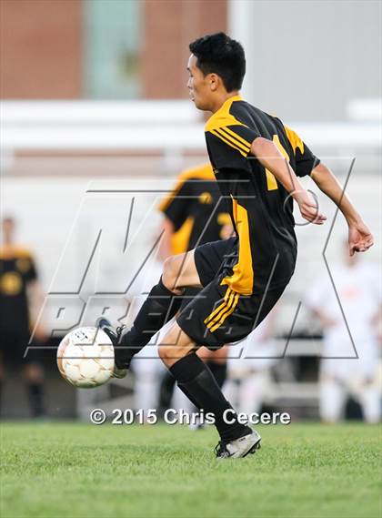 Thumbnail 1 in Greece Athena @ Churchville-Chili photogallery.