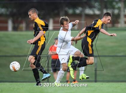 Thumbnail 1 in Greece Athena @ Churchville-Chili photogallery.