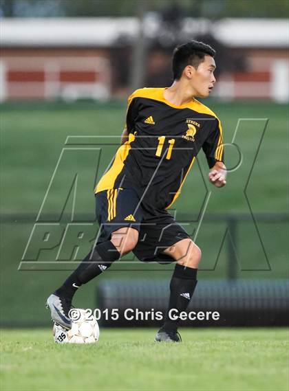 Thumbnail 1 in Greece Athena @ Churchville-Chili photogallery.