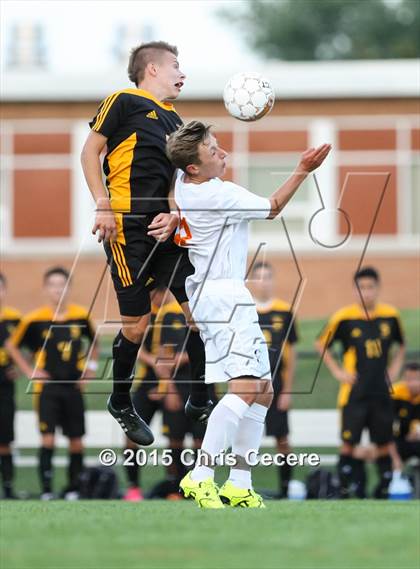 Thumbnail 3 in Greece Athena @ Churchville-Chili photogallery.