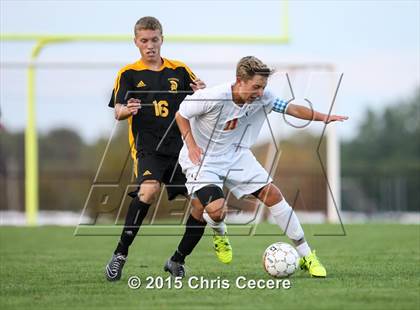 Thumbnail 3 in Greece Athena @ Churchville-Chili photogallery.
