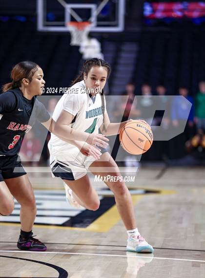 Thumbnail 1 in Woodgrove vs. Hampton (VHSL Class 4 State Final) photogallery.