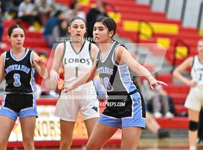 Thumbnail 3 in Northglenn Tournament Conifer vs Mountain Range photogallery.