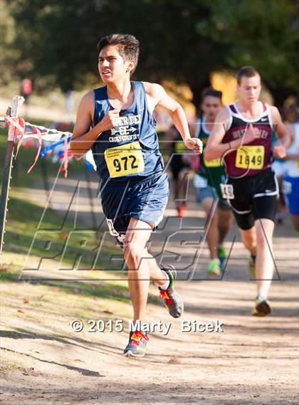 Thumbnail 2 in CIF State Cross Country Championships (D4 Boys Race) photogallery.