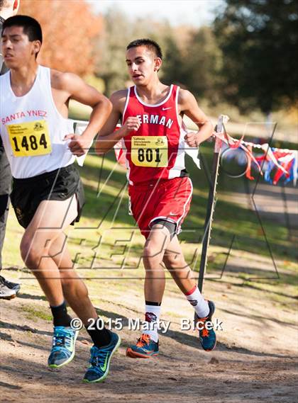 Thumbnail 2 in CIF State Cross Country Championships (D4 Boys Race) photogallery.