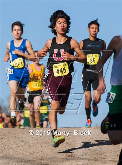 Thumbnail 2 in CIF State Cross Country Championships (D4 Boys Race) photogallery.