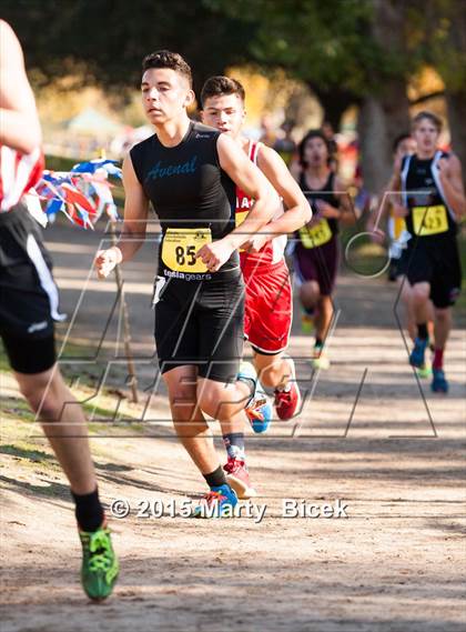 Thumbnail 3 in CIF State Cross Country Championships (D4 Boys Race) photogallery.