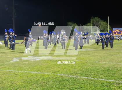 Thumbnail 3 in Stoneman Douglas @ Spanish River photogallery.