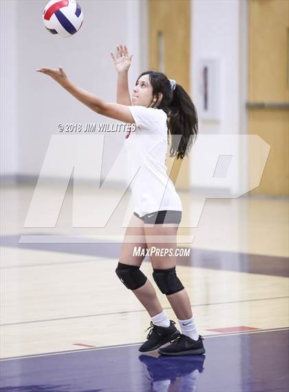 Thumbnail 1 in  Ironwood @ Coronado photogallery.