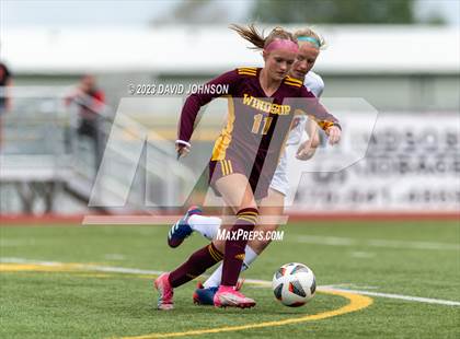 Thumbnail 3 in Montrose @ Windsor (CHSAA 4A Round 2) photogallery.